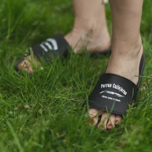 Chanclas Perras Callejeras